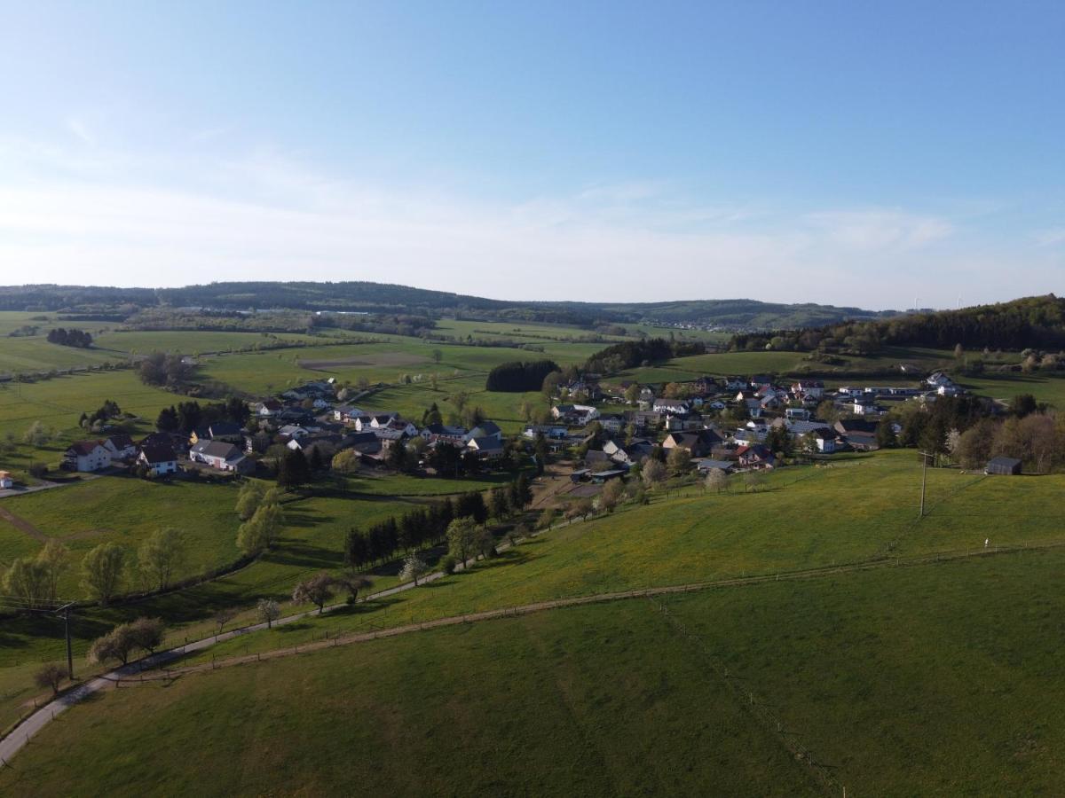 Ferienwohnung Am Lieserpfad Nerdlen Dış mekan fotoğraf